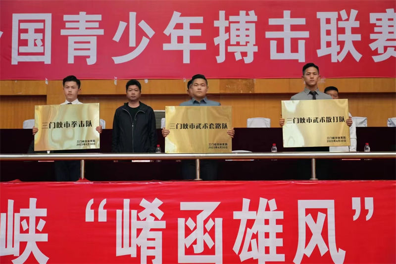 中國(guó)青少年搏擊聯(lián)賽